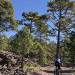 Rutas en bici por el sur de Tenerife: ¡Vive una aventura única!