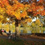 Hamburgo en bicicleta: Descubre rutas y disfruta de un viaje único